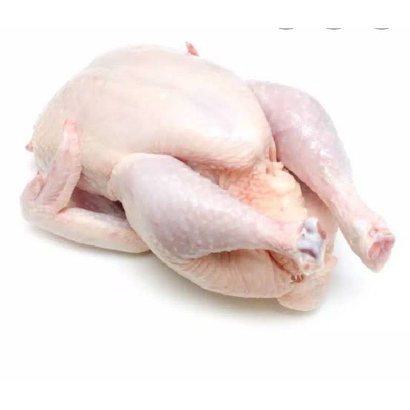 

ayam potong. ayam sayur segar feres 1000gm utuh