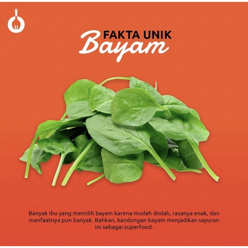 

bayam hijau per ikat