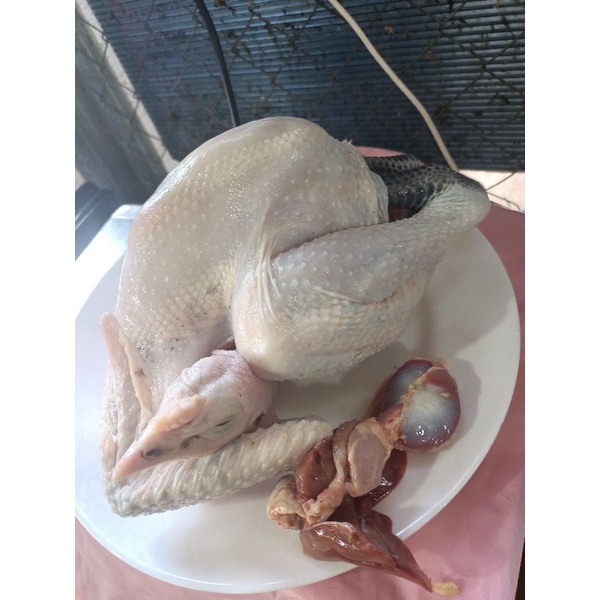 

ayam kampung segar 700 gram