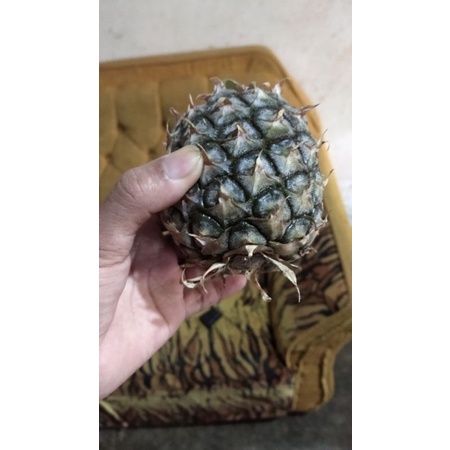 

bisa COD. nanas muda nanas tua manis ASEM