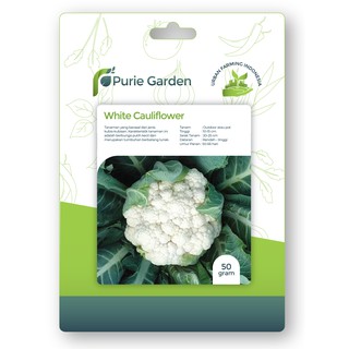 Benih Bibit Kembang Kol Putih White Cauliflower 50 benih