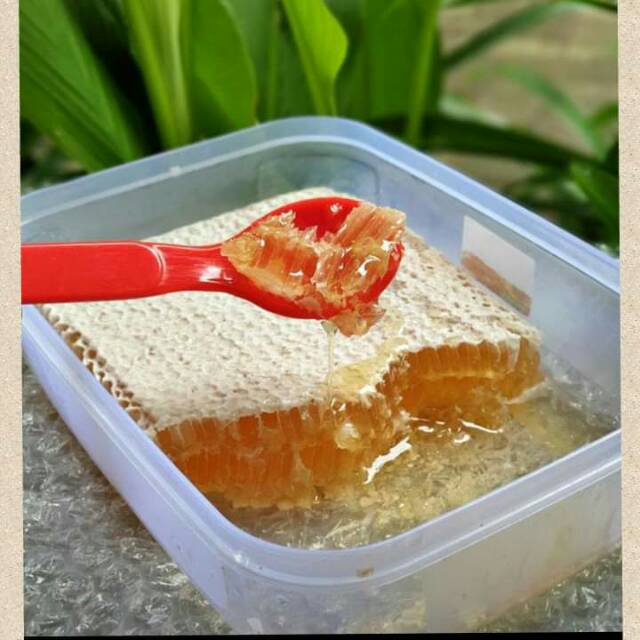 

Madu sarang