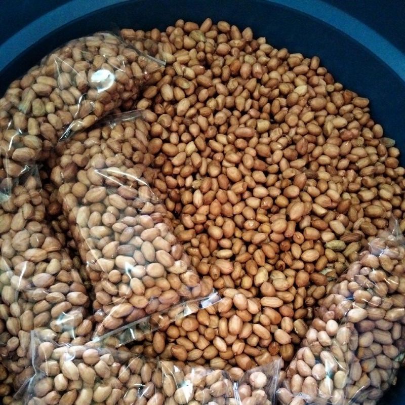 

KACANG TANAH MADURA PREMIUM