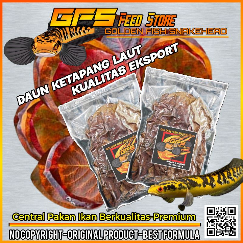 Daun Ketapang Laut Kualitas Eksport