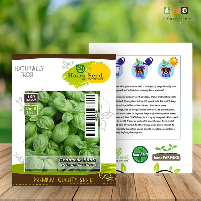 Benih-Bibit Basil Genovese (Haira Seed)