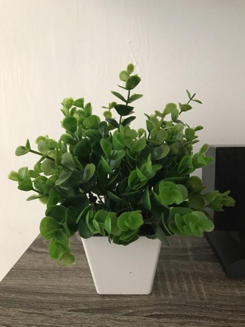 Set Bunga Plastik Ekaliptus Denga Vas Melamin