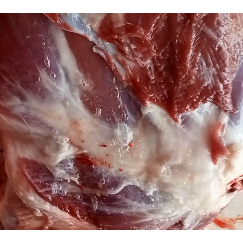 

Daging murni kambing tanpa tulang