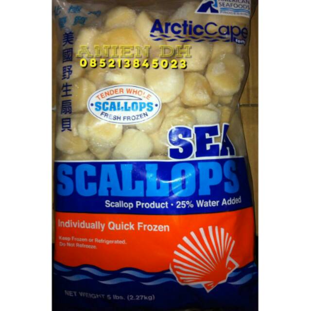 

Scallop US/ 2,27kg/ kerang laut