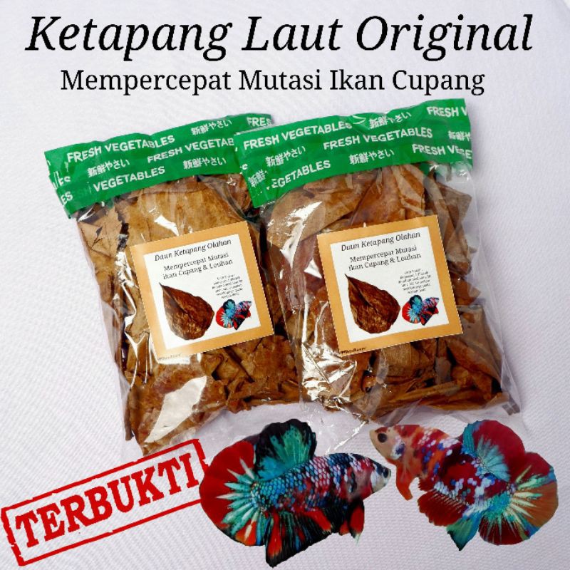 Paket isi Demi Pelet Spirulina, Flash Mutation, Ketapang Olahan