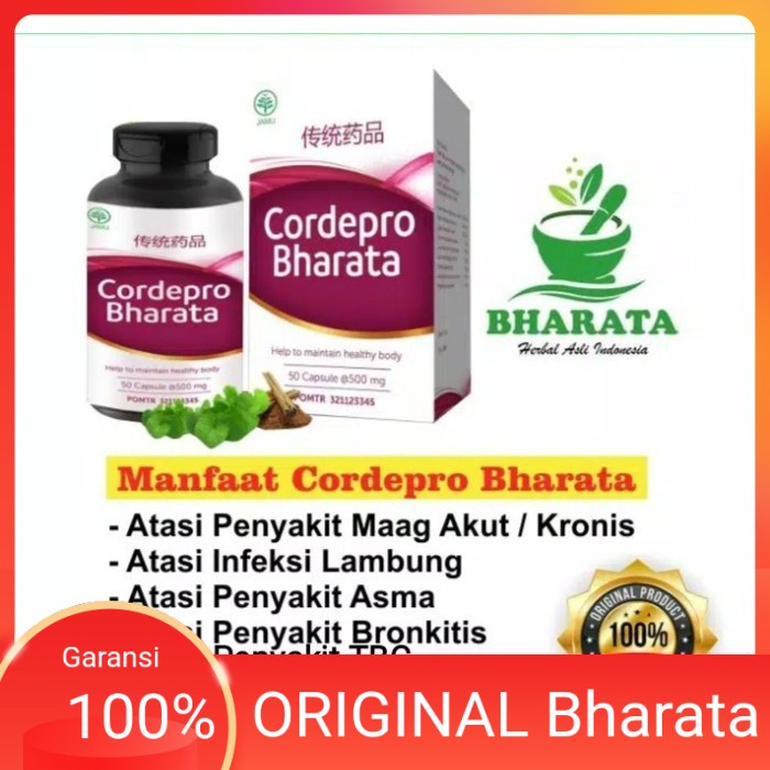 CORDEPRO BHARATA : Obat Paru Paru Paling Ampuh
