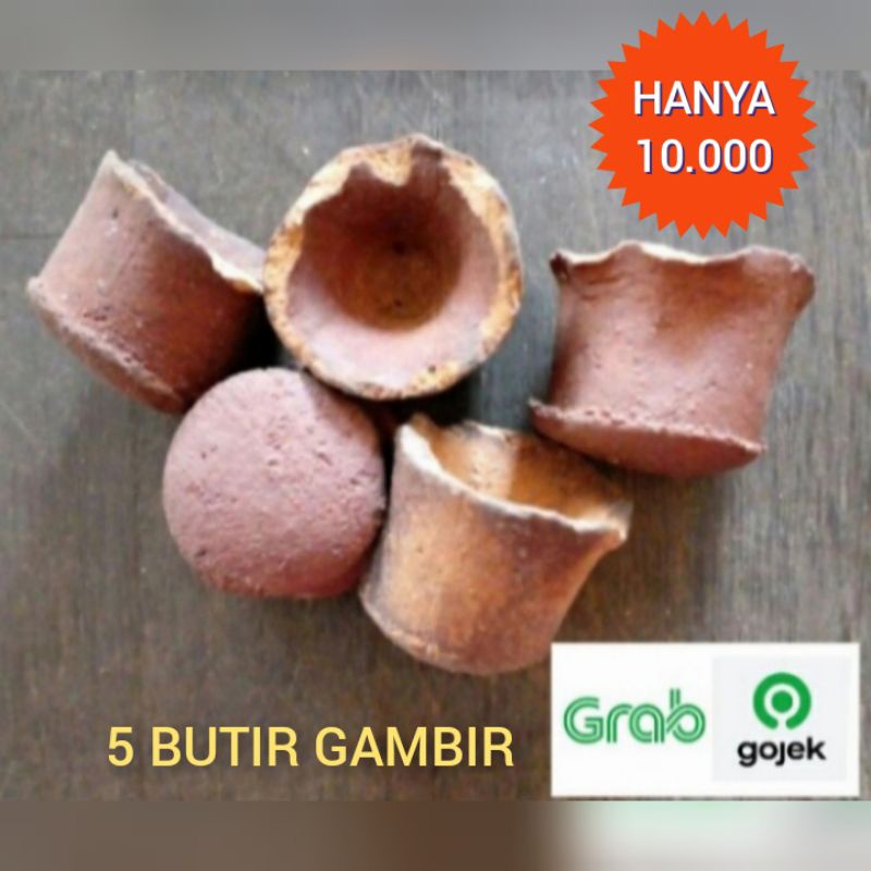 gambir kering asli gambir bolong isi 5 biji paket murah