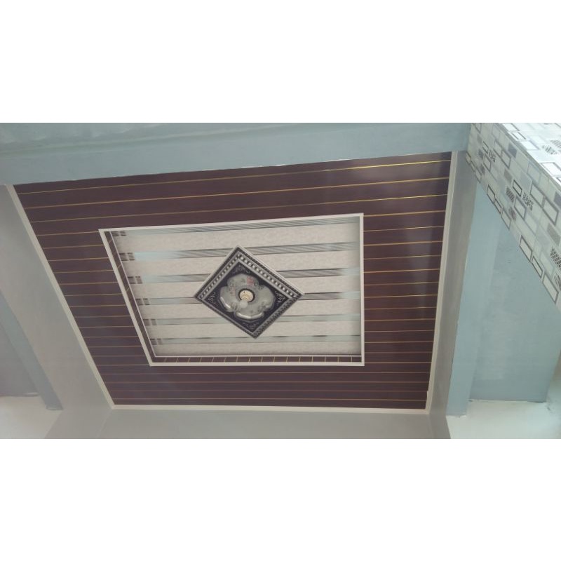 plavon pvc