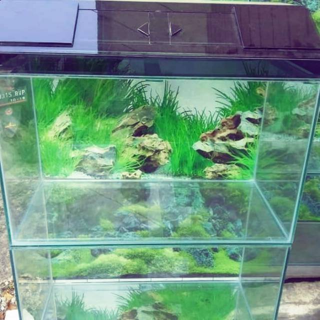 Akuarium 60x30x35 plus background tutup kaca hitam