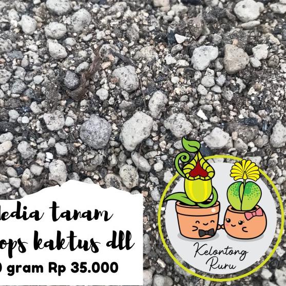 ☏ Media tanam Lithops, kaktus, succulent grade A 500 gram ♧