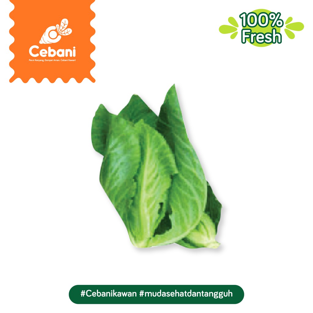 

Cuciwis 500 Gr Cebani