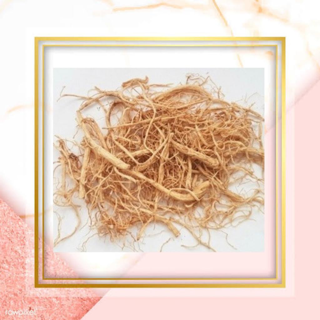 

Akar Ginseng/ Yang Shen Xu/ Som Chiu Kualitas Super 50gram