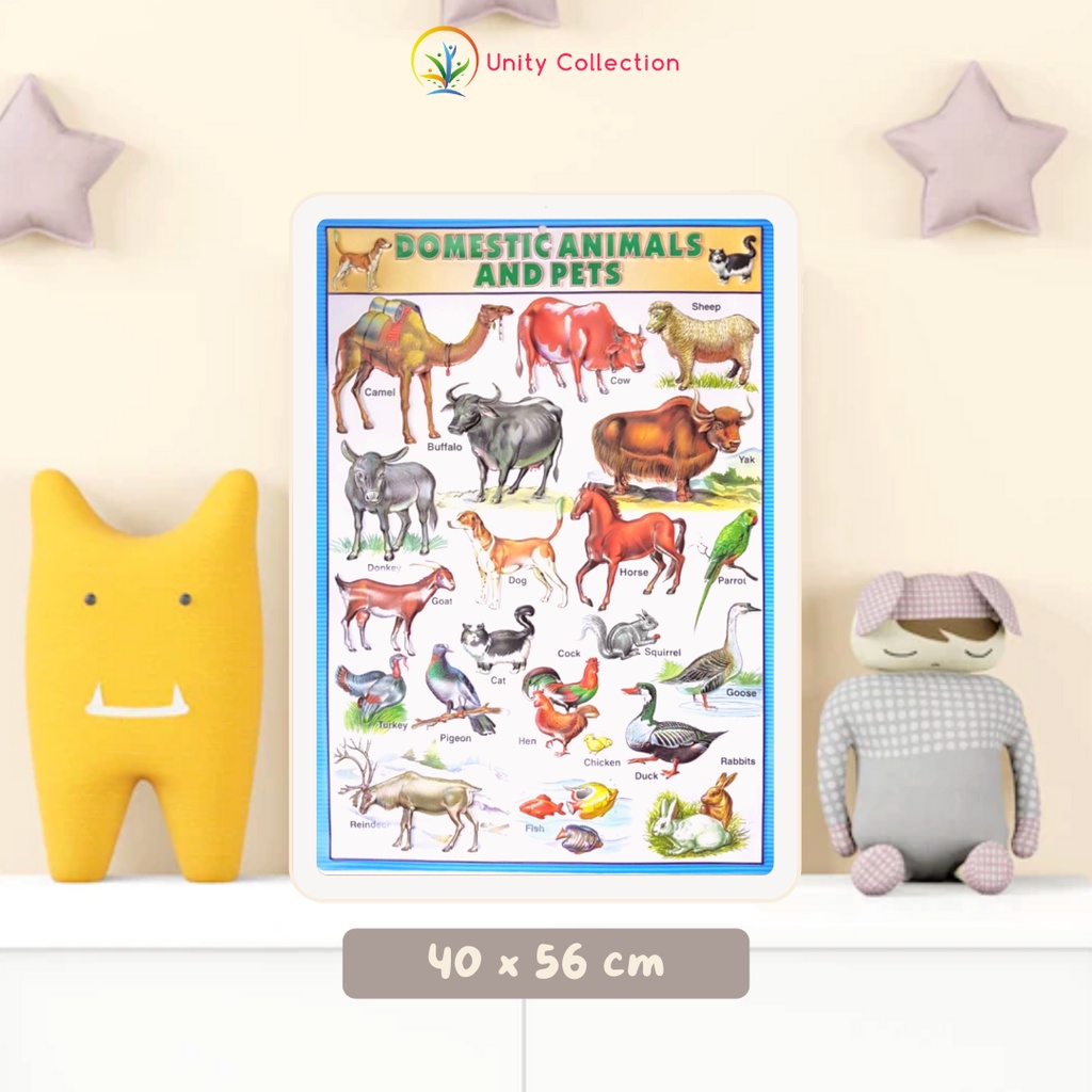 Poster Timbul Tempel Dinding Edukasi Anak Belajar Variasi Domestic Animals Hewan Domestik