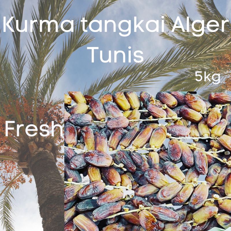 

kurma tunis tangkai 5 kg