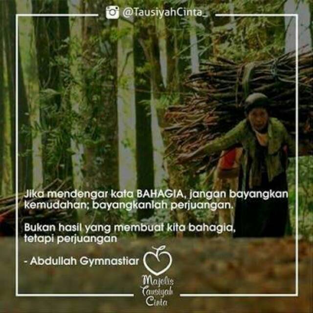 aderenihasparini