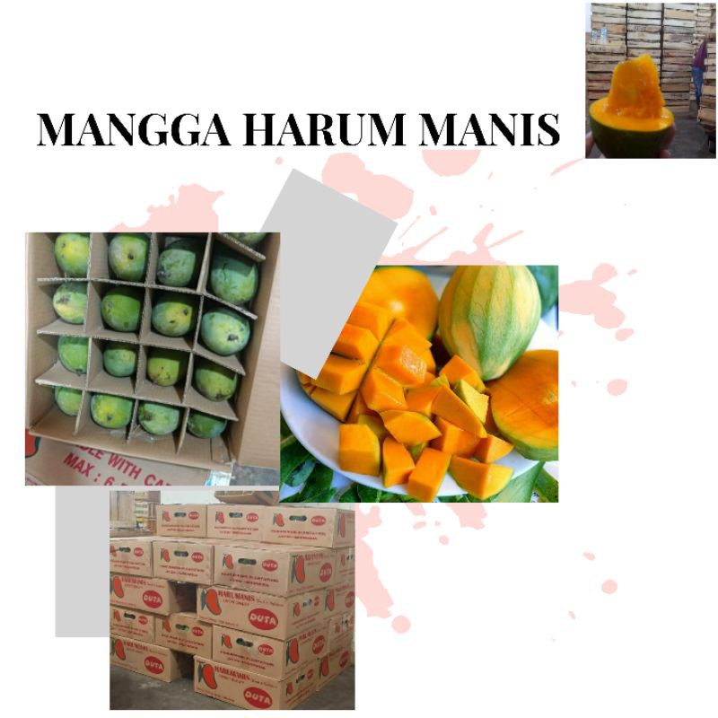 

Mangga Harum Manis Premium / high quality / kwalitas eksport 10kg