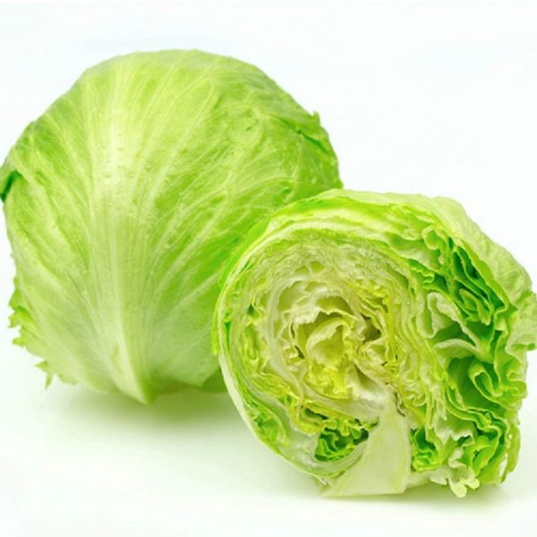 Lettuce Head / Iceberg Lettuce Organik 500gr