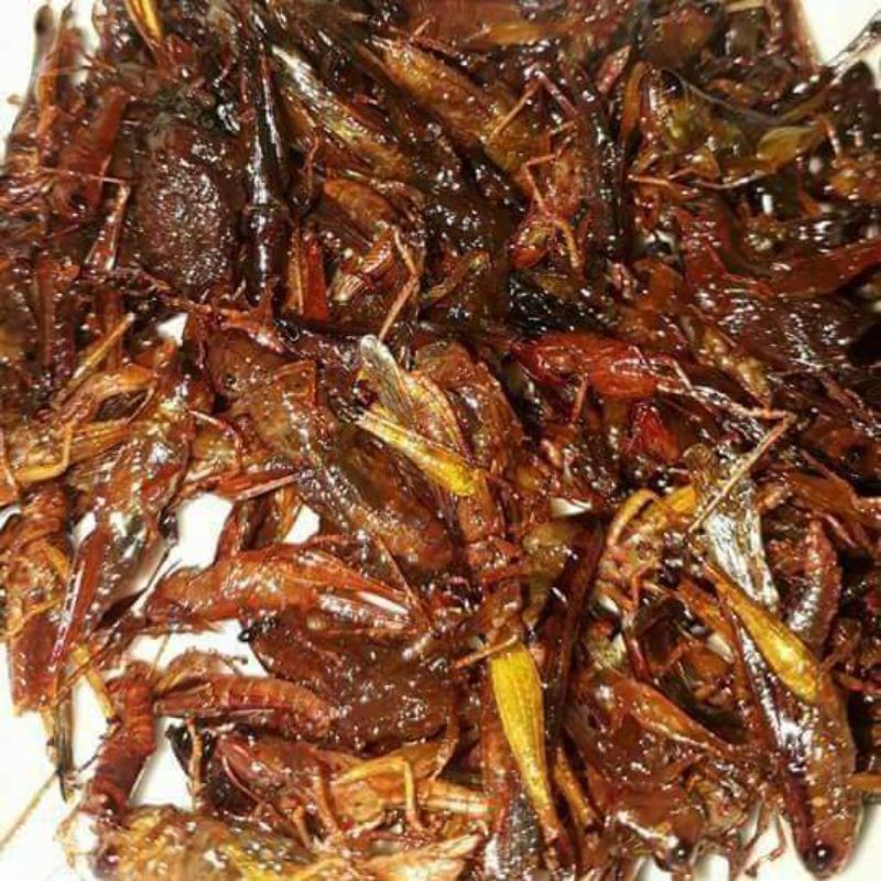 

BELALANG GORENG 250GRAM/BELALANG CRISPY