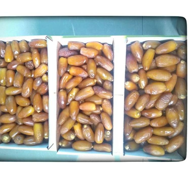 

M6SCVK kurma muda ruthob promil/kurma muda libya/kurma ruthob muda libya/kurma segar l/kurma ruthob