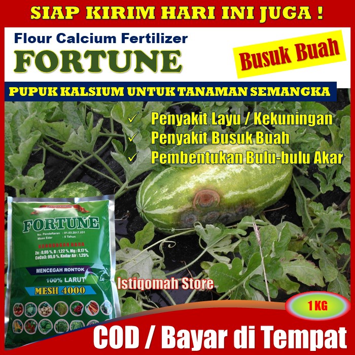 PROMO COD FORTUNE 1 KG Pupuk Kalsium Obat Pencegah Penyakit Busuk Buah Semangka - Pupuk Obat Penyaki