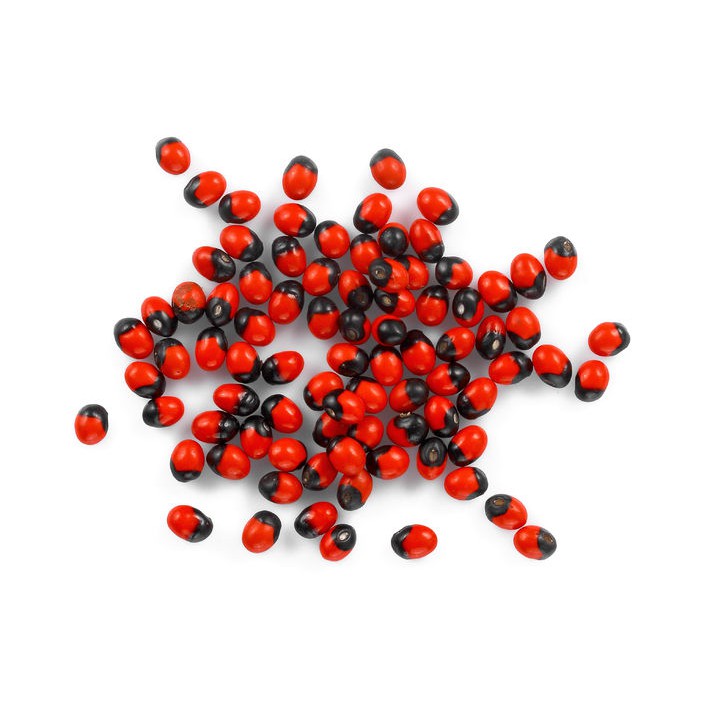 Benih Biji Saga Rambat  / saga telik / saga bintik / biji buah saga rambat