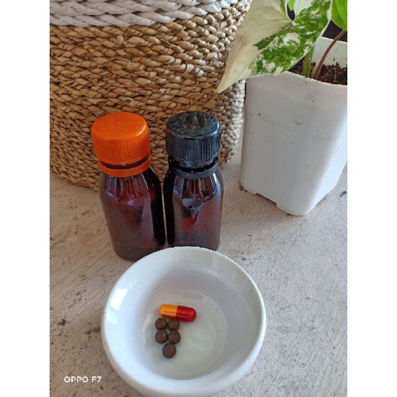 jamu pelangsing herbal