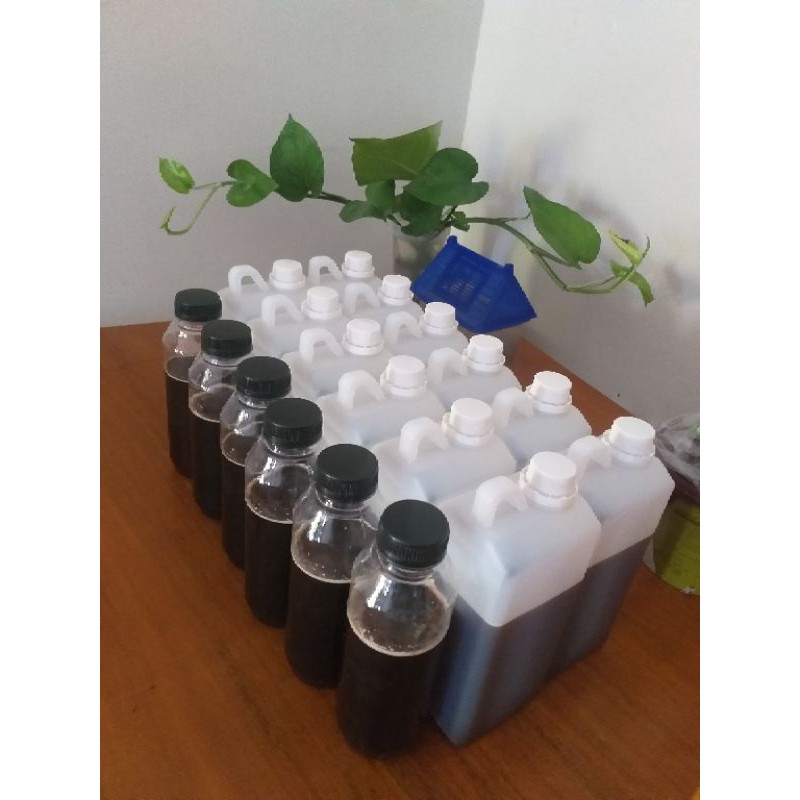 

Madu Hutan Akasia