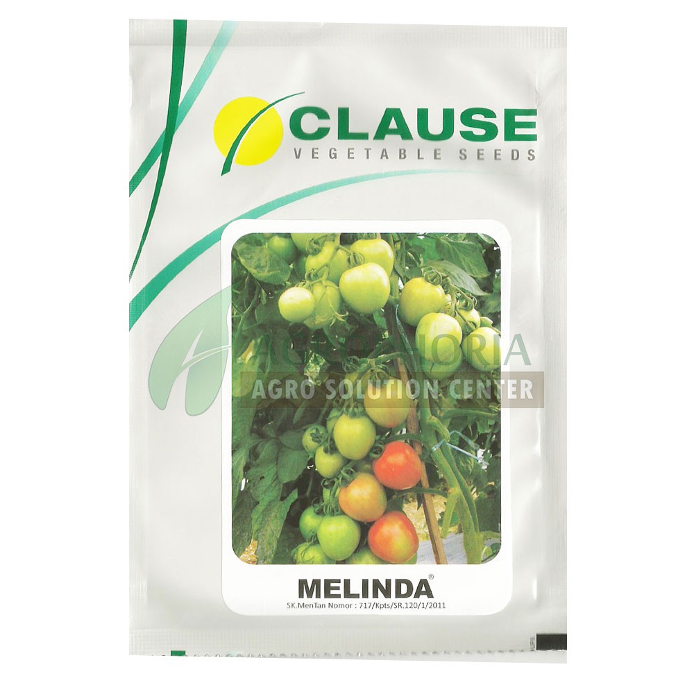 Benih Tomat Melinda - CLAUSE