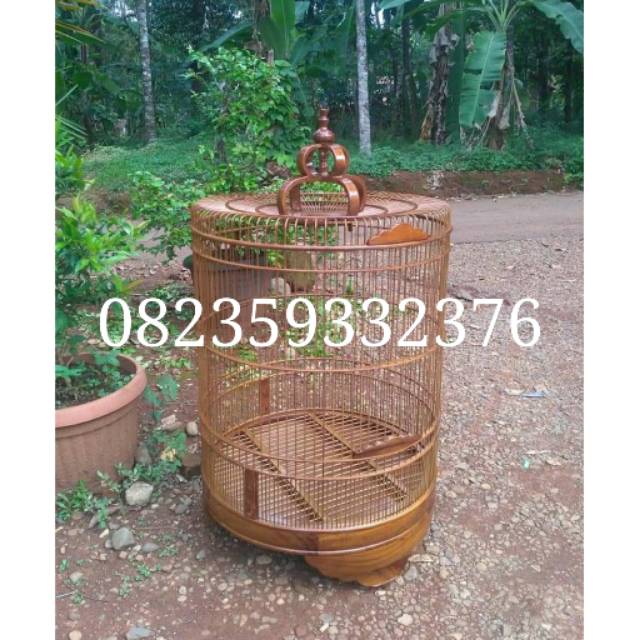 Sangkar murai batu jati kandang burung murai