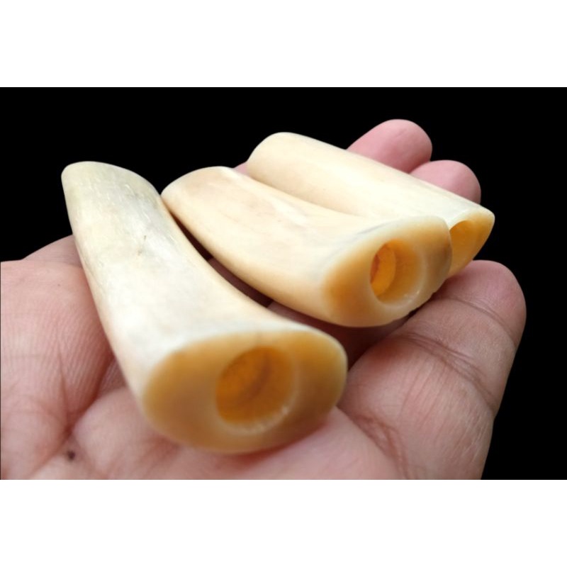 PIPA ONCE IGA DUYUNG IMUT