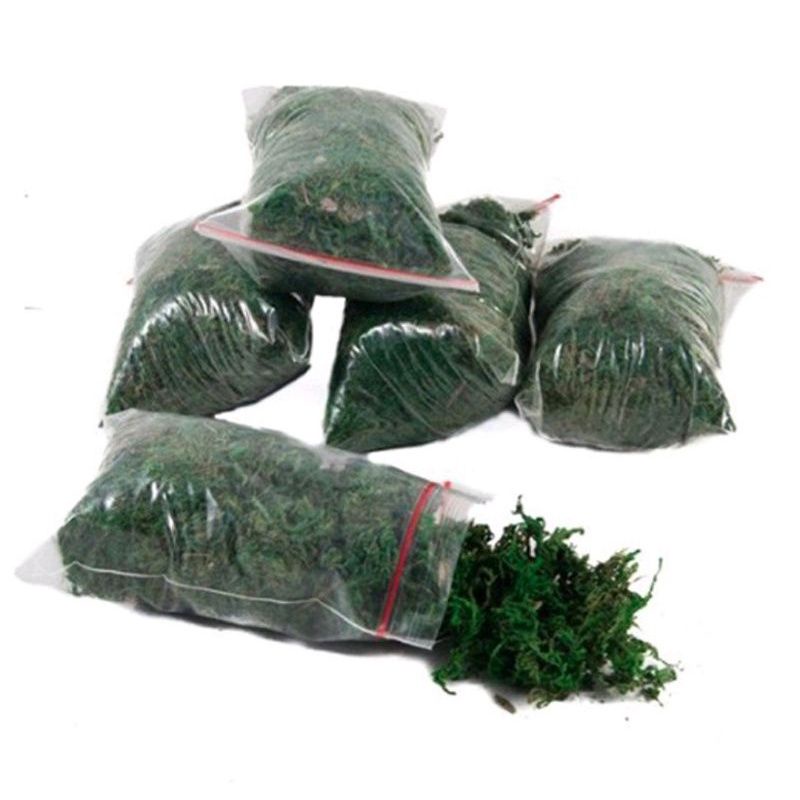 Dekorasi Lumut kering 1 KG green moss lumut dekorasi