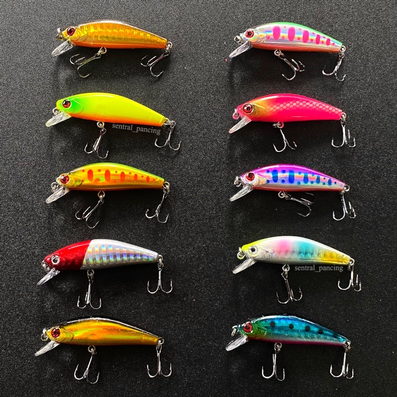 LURE MINNOW COLORFULL 58mm