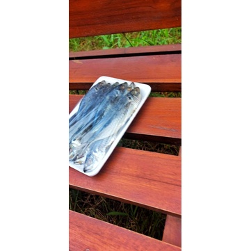 

LAYANG ASIN/ IKAN LAYANG/LAYANG KERING/IKAN ASIN/IKAN KERING/GERIH/IKAN PEDO/Rp. 15.000/500gr