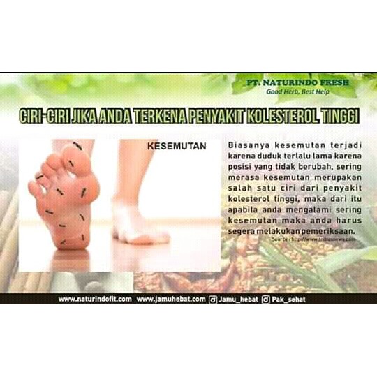 CIRI CIRI KOLESTROL TINGGI