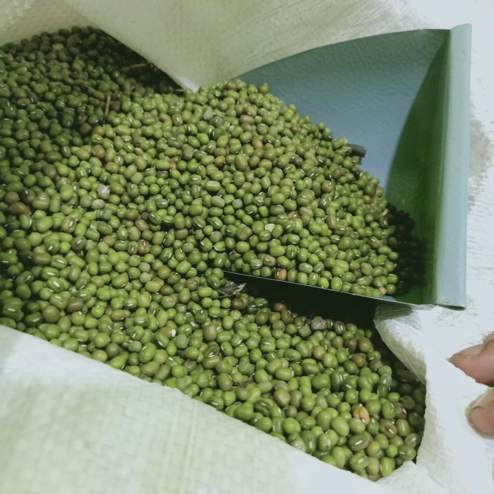 

Q12 Mung Bean (Kacang Hijau)Burma Import 500Gram Kualitas Terbaik Dw51qs