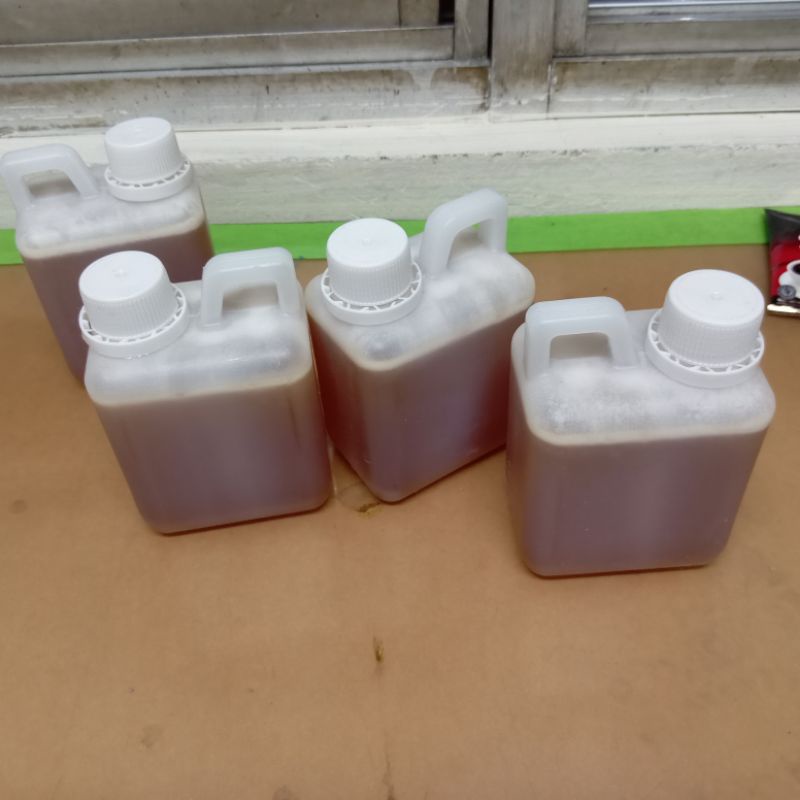 

madu bunga klengkeng