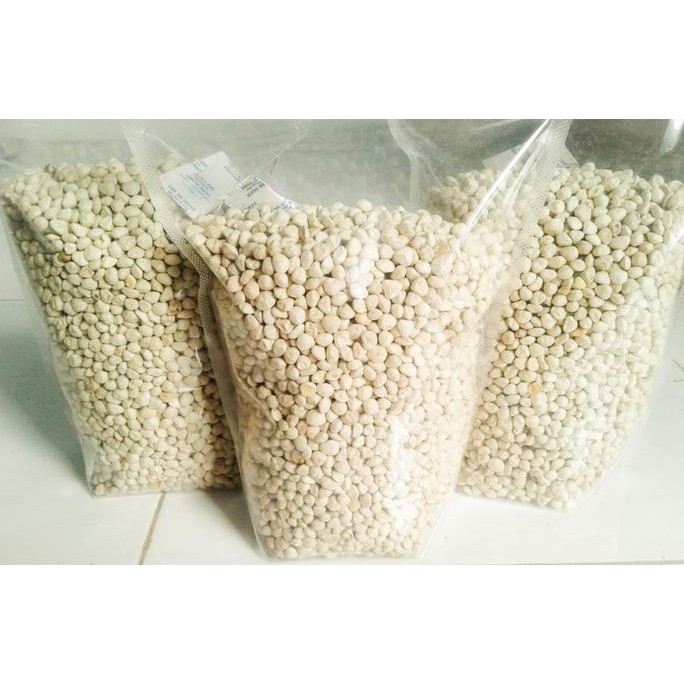 

Sale!! Biji Kelor Kupas Moringa Seed Tanpa Kulit 1 Kg Terbaru