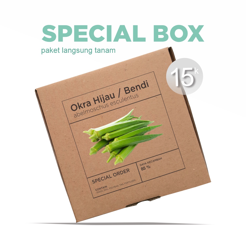 Paket Langsung Tanam - Gardening Kit - SPECIAL BOX - Benih Okra Hijau Sayur Bendi Seeds