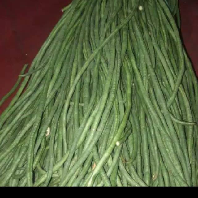 

kacang pajang segar per kg 500 gr