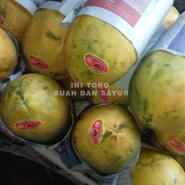 

PEPAYA LOKAL MURAH MANIS BELI PEPAYA LOKAL MURAH MANIS