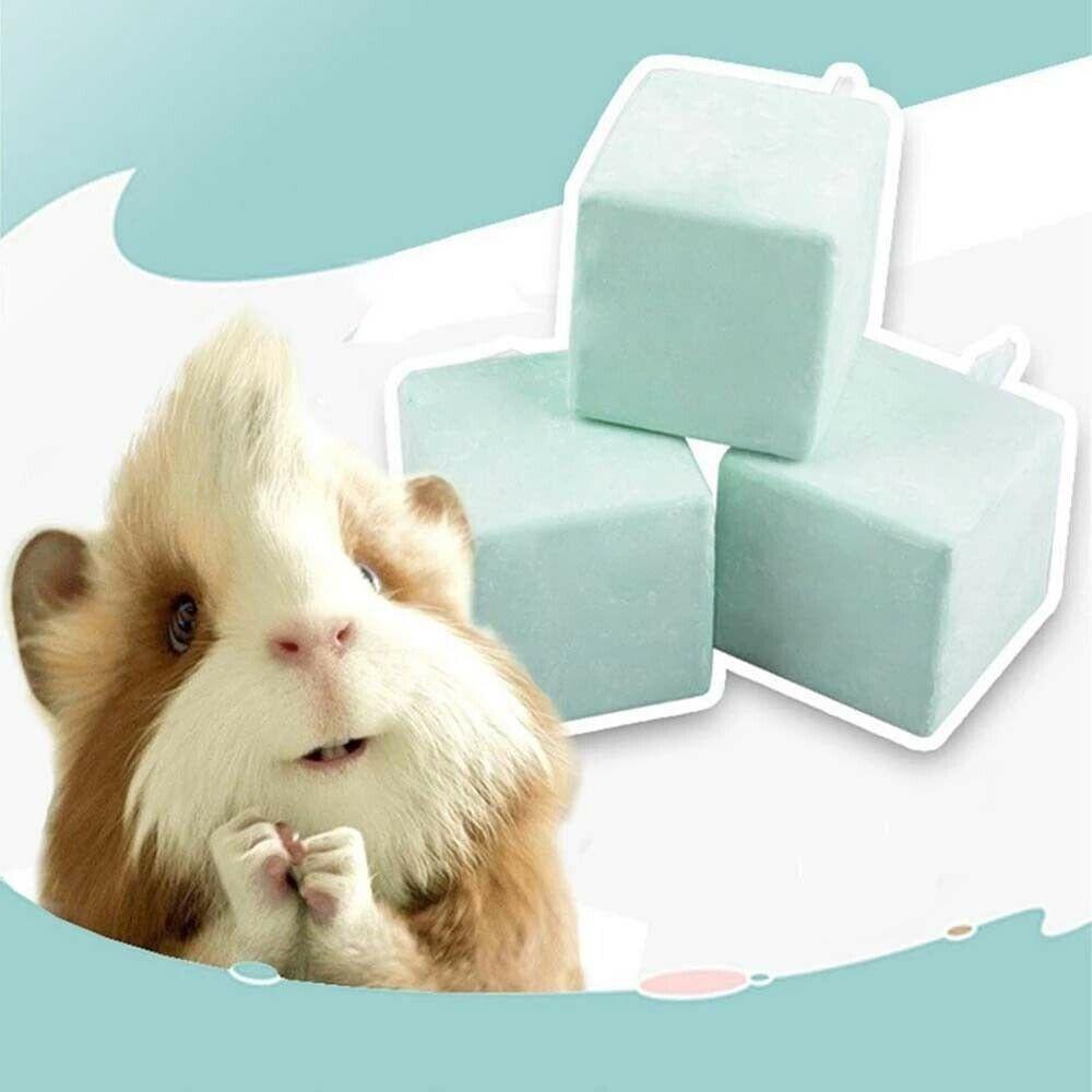 Solighter 5Pcs Mainan Hamster Molar Mainan Gerinda Gigi Babi Mini Portable