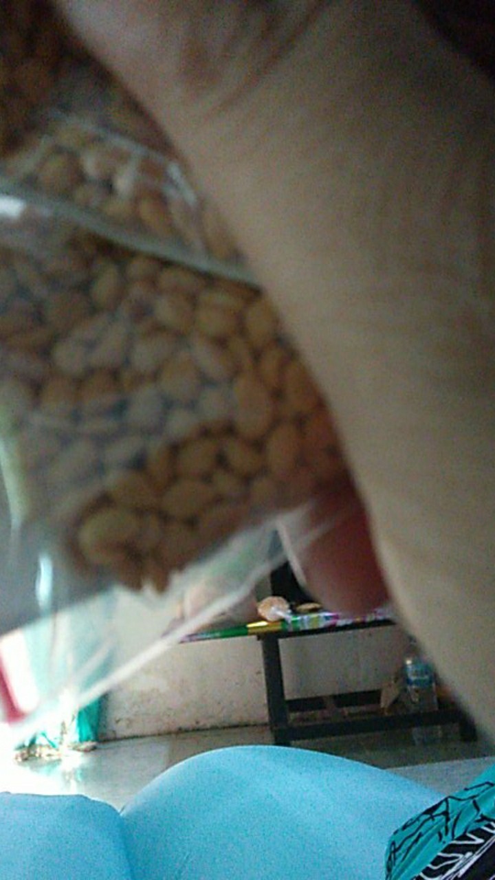 Berisi 500 Biji Benih Bonsai Kawista Batu / Kawista Kerikil Siap Semai