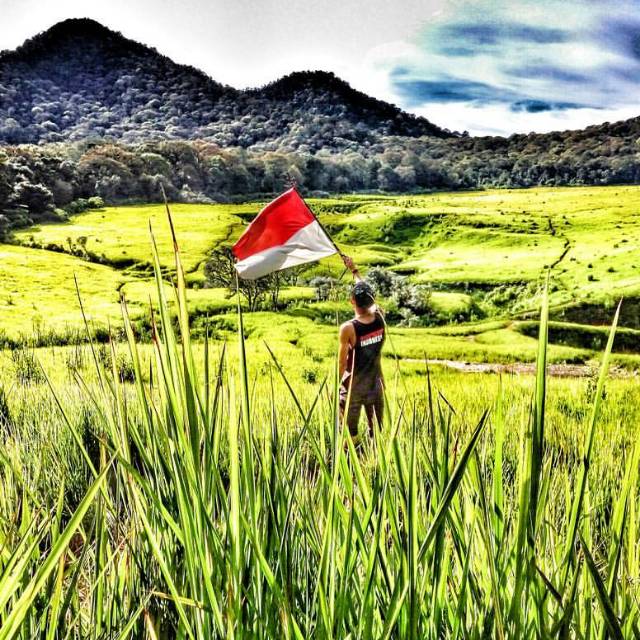 tapakstore.id