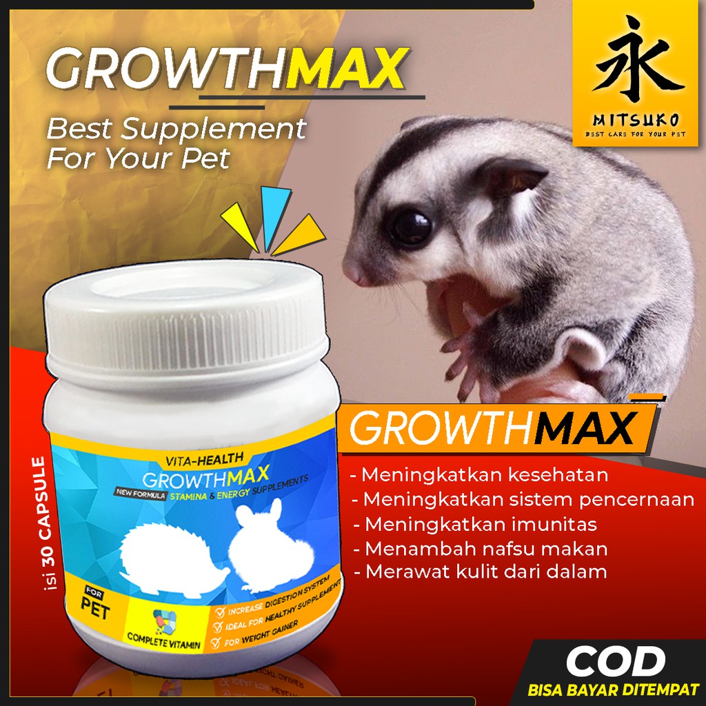 Vitamin Sugar Glider Joey Leucistic White Face Mozaik Makanan Pakan Sugar Glider GROWTHMAX