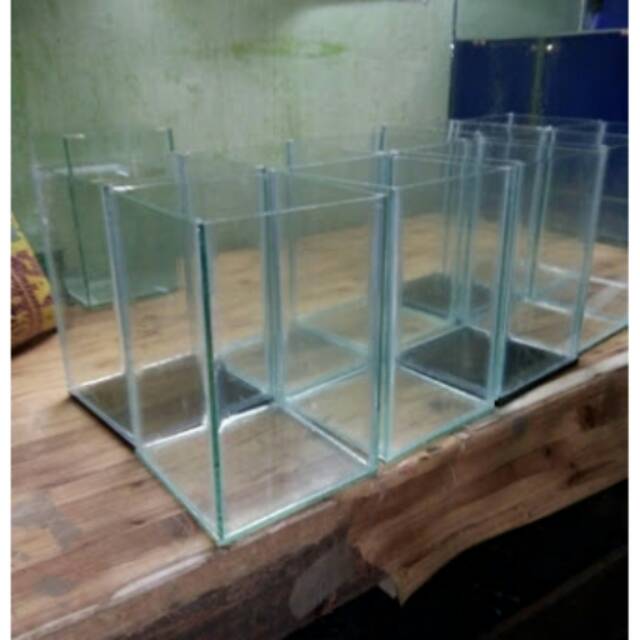 Akuarium Aquarium Kaca Gelas Botol Toples Cupang Guppy Aquascape