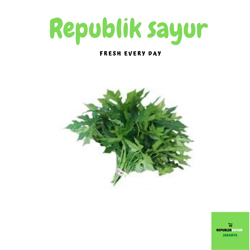 

Daun Pepaya Segar Per Ikat